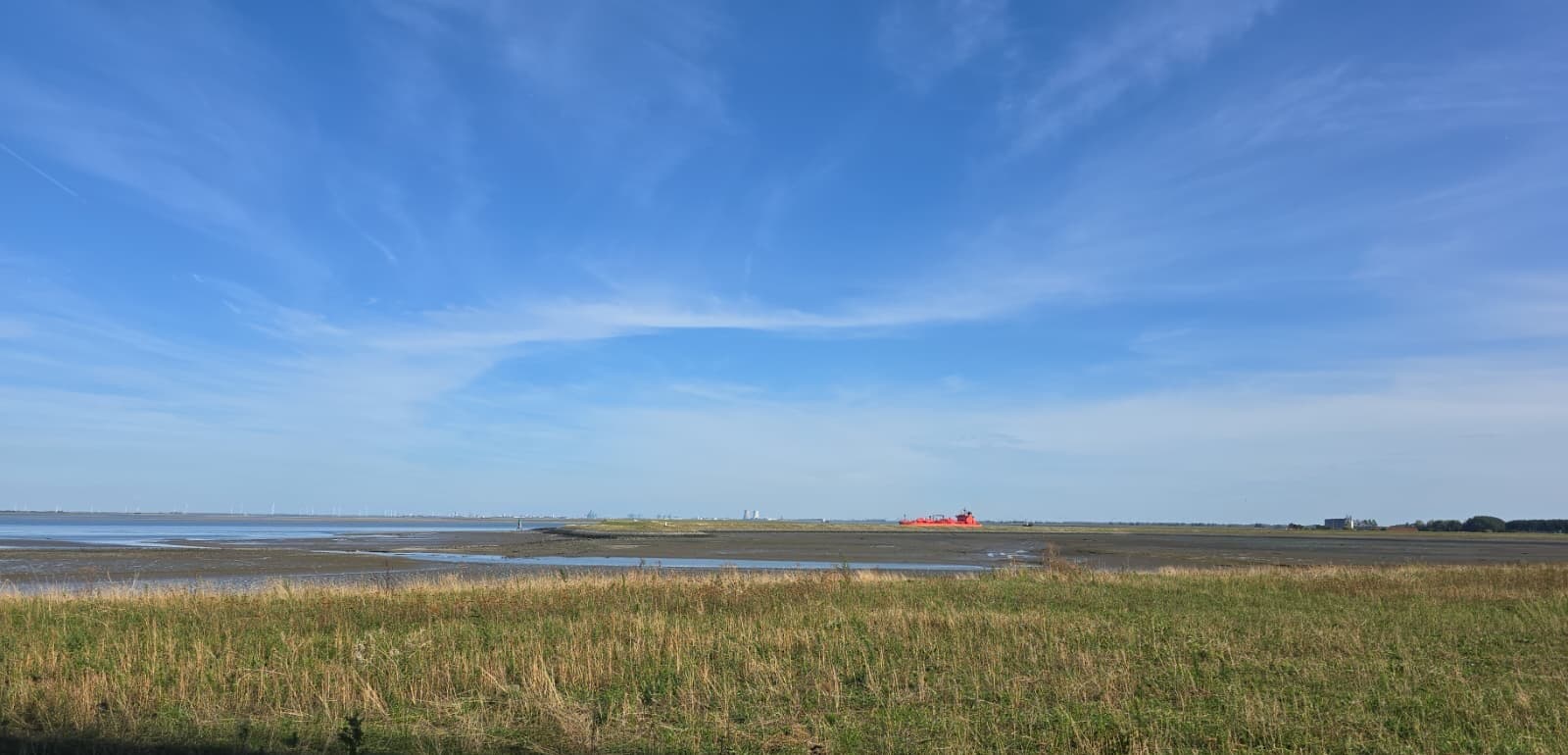 Uitzicht vanaf het terras over de Westerschelde, met een passerend schip